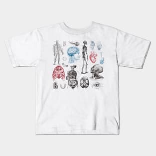 Anatomy Illustrations Vintage Pattern Kids T-Shirt